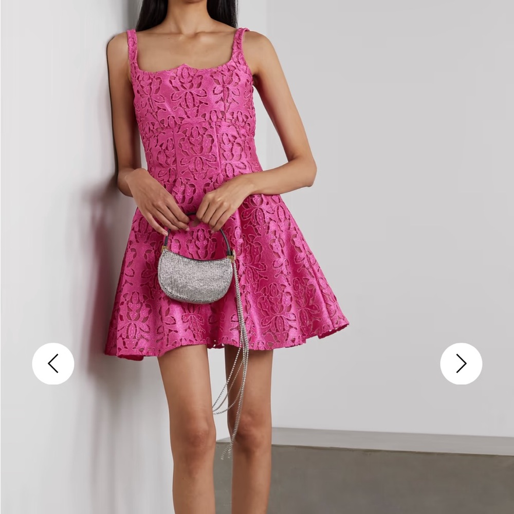 Emilia Wickstead Paisley pleated guipure lace mini dress